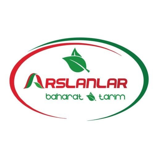 Arslanlar