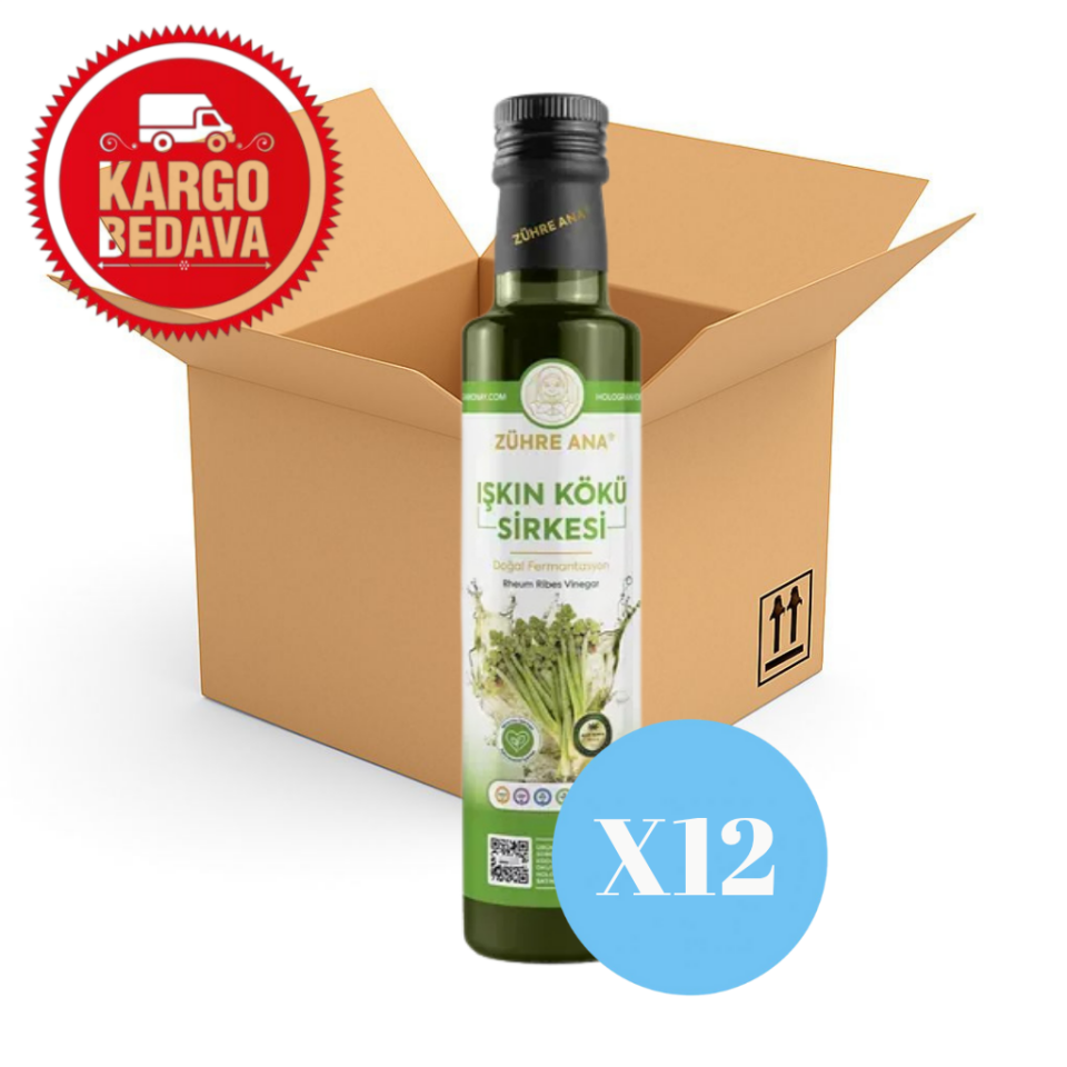 Işkın Kökü Sirkesi  500ml X12