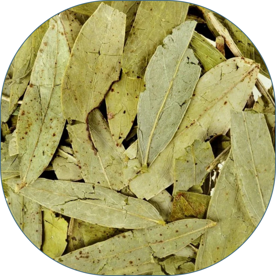 Sezgin Baharat Toptan Sinameki 25 KG