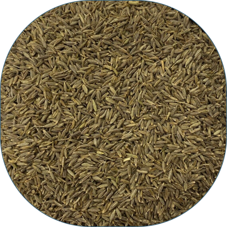 Sezgin Baharat Toptan Kimyon Tane 25 KG