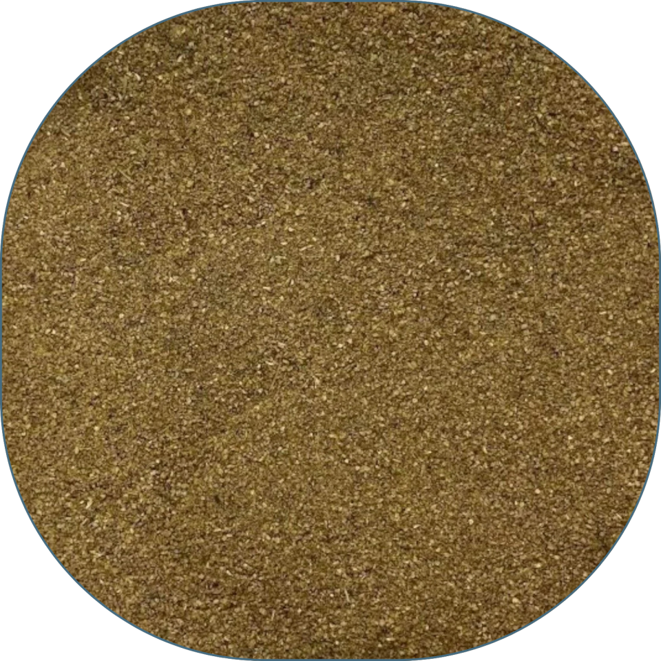 Sezgin Baharat Toptan Toz Kişniş 25 KG