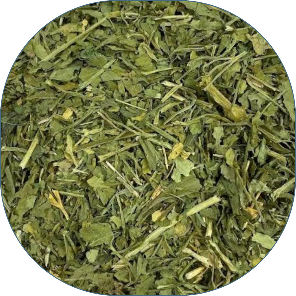 Sezgin Baharat Toptan Maydanoz Kurusu 25 KG