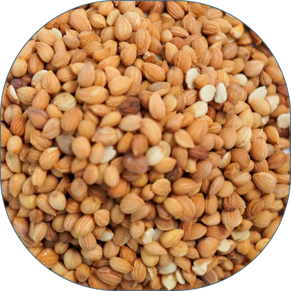 Sezgin Baharat Toptan Tane Mahlep 25 KG