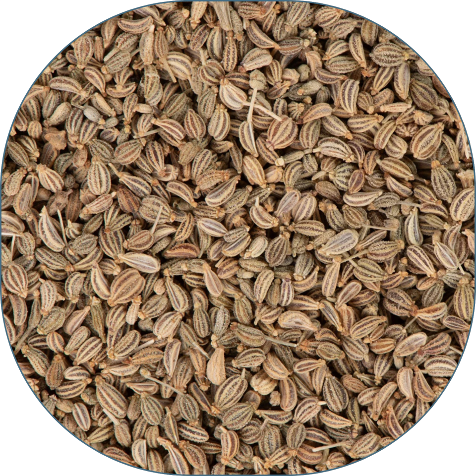 Sezgin Baharat Toptan Maydanoz Tohumu 25 KG