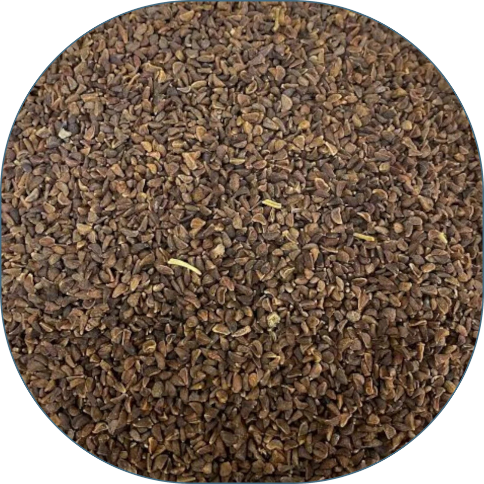 Sezgin Baharat Toptan Üzerlik Tohumu 25 KG