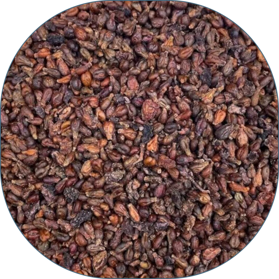 Sezgin Baharat Toptan Tane Üzüm Çekirdeği 25 KG