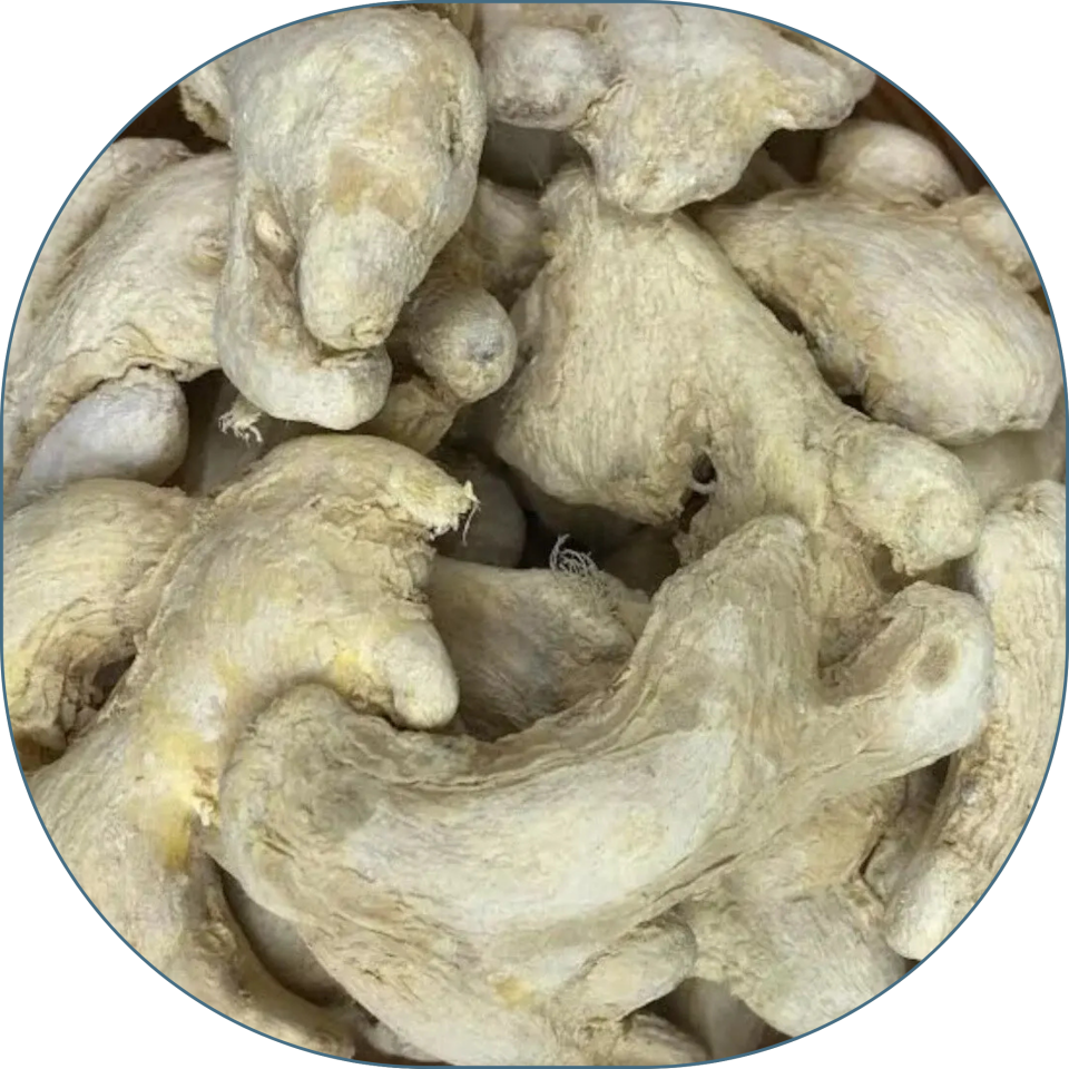 Sezgin Baharat Toptan Kök Zencefil - Kuru Zencefil 25 KG