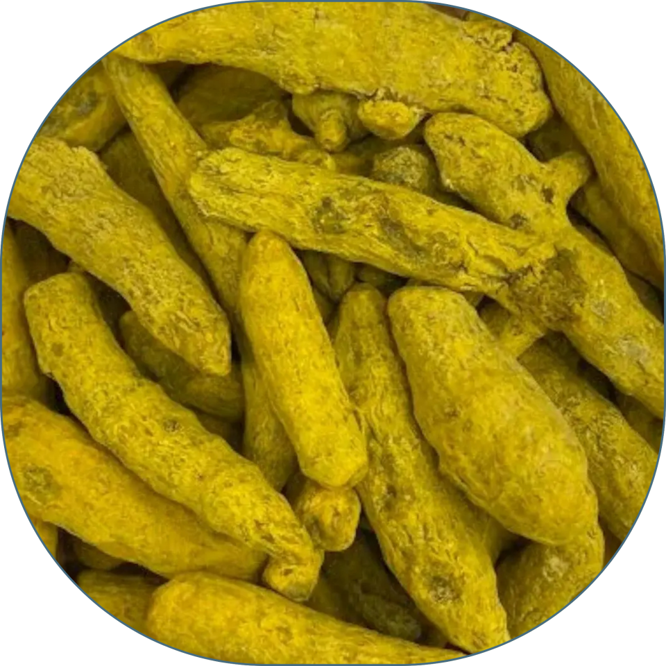 Sezgin Baharat Toptan Kök Zerdeçal 25 KG