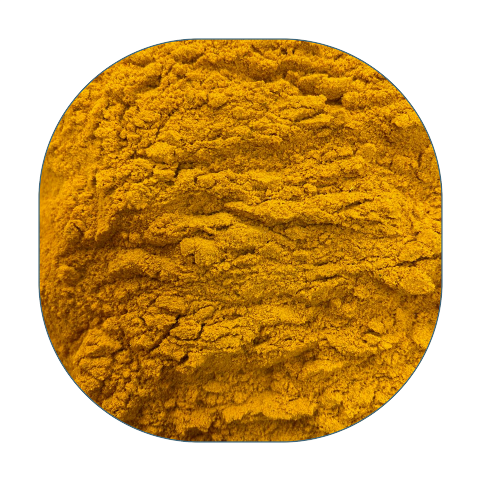 Sezgin Baharat Toptan Öğütülmüş Zerdeçal - Toz Zerdeçal 25KG