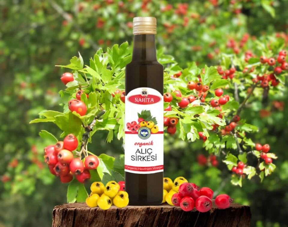 ORGANİK ALIÇ SİRKESİ 500ML