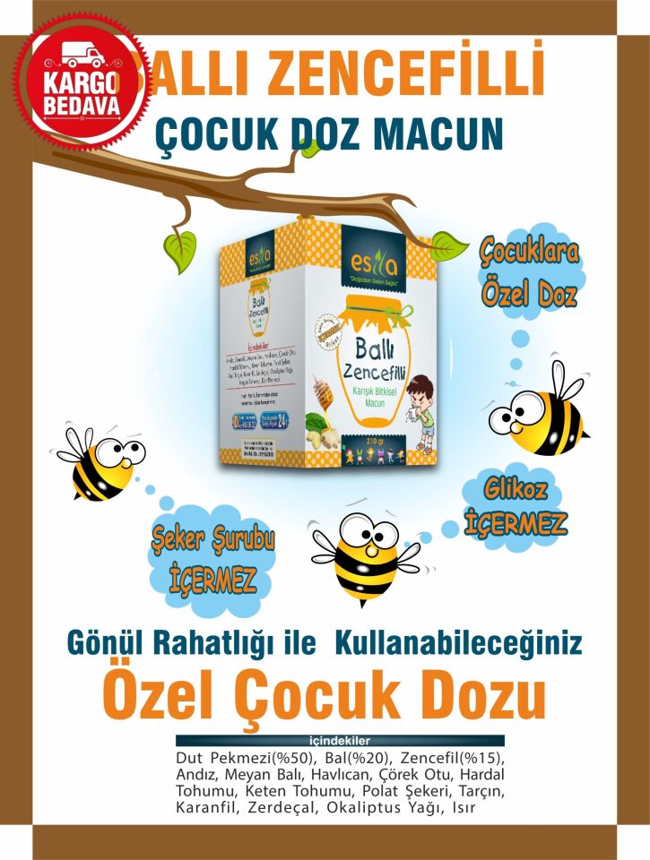 Ballı Zencefilli (Plus Serisi) Çocuk Macun