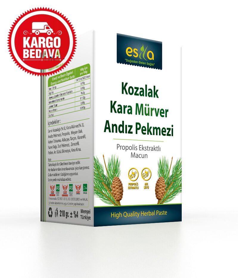 Kozalak Macunu 210 ml.