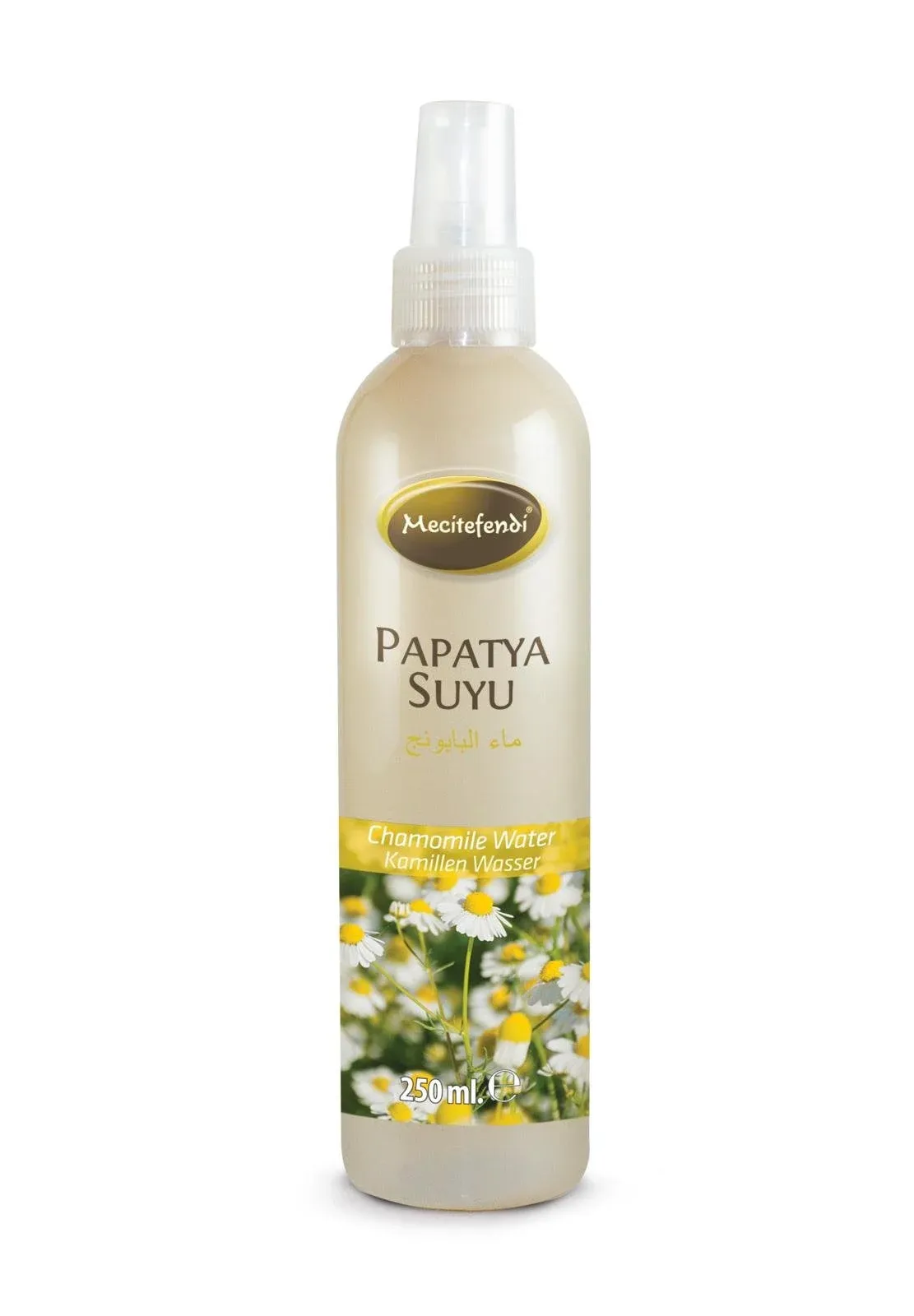 PAPATYA SUYU 250 ML