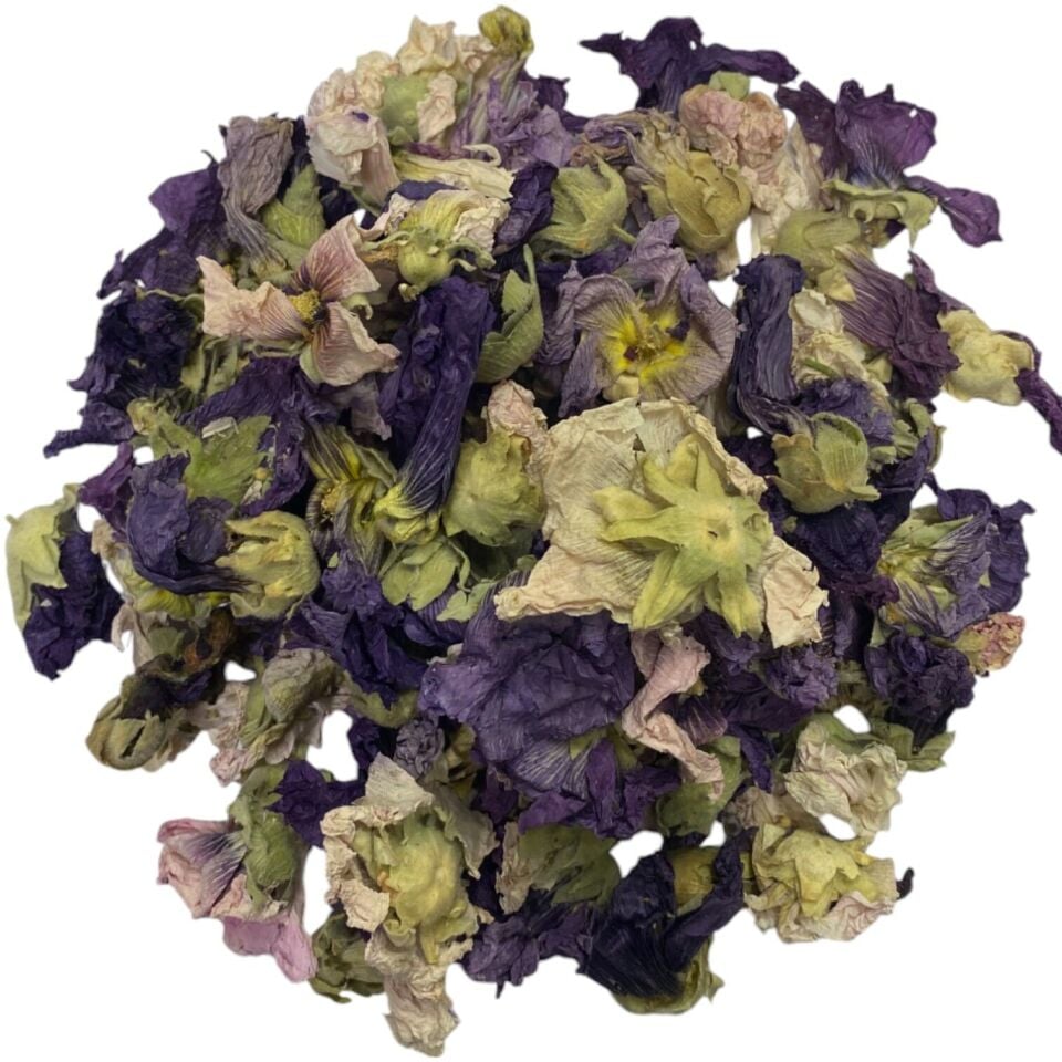HATMİ ÇİÇEGİ YENİ SEZON  1KG