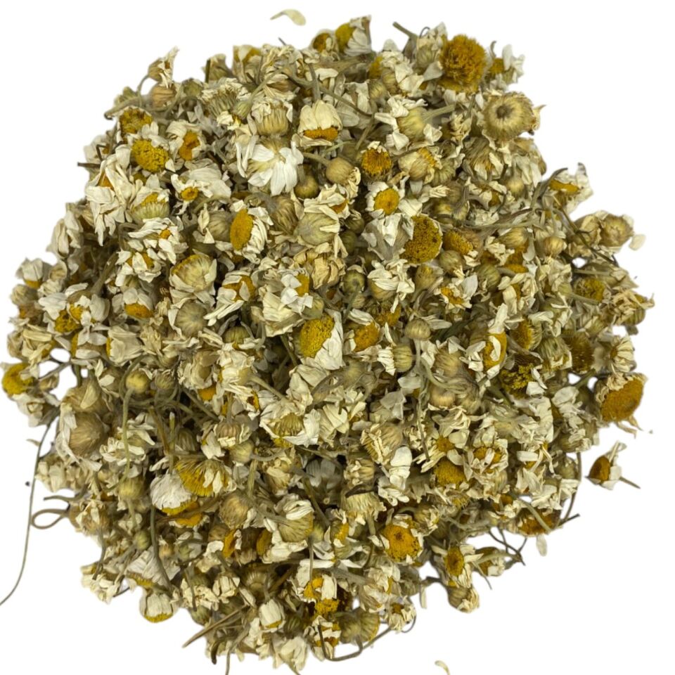 PAPATYA YENİ SEZON TOZSUZ  1KG