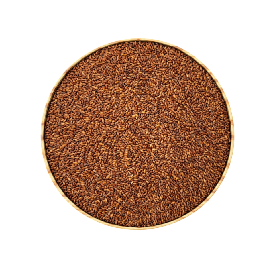 Sezgin Baharat Toptan Tere Tohumu 1KG