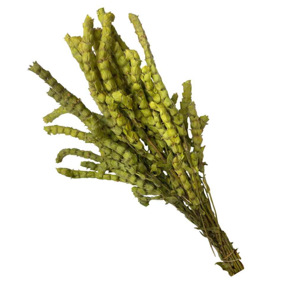 Sezgin Baharat Toptan Yayla Çayı 1Demet