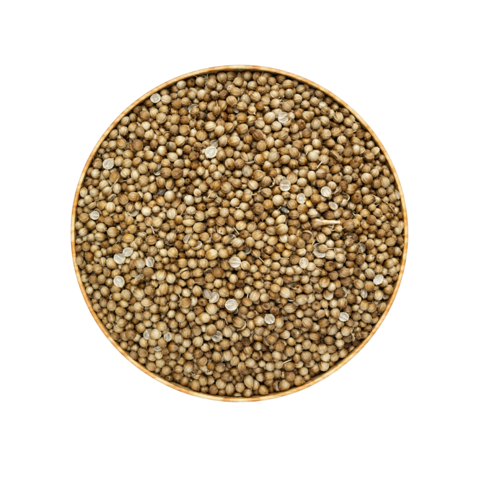 Sezgin Baharat Toptan Tane Kişniş 1KG