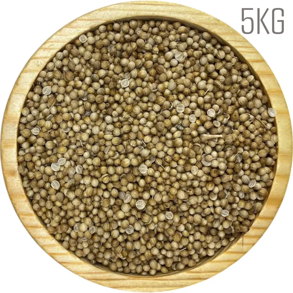 Sezgin Baharat Toptan Tane Kişniş 5KG