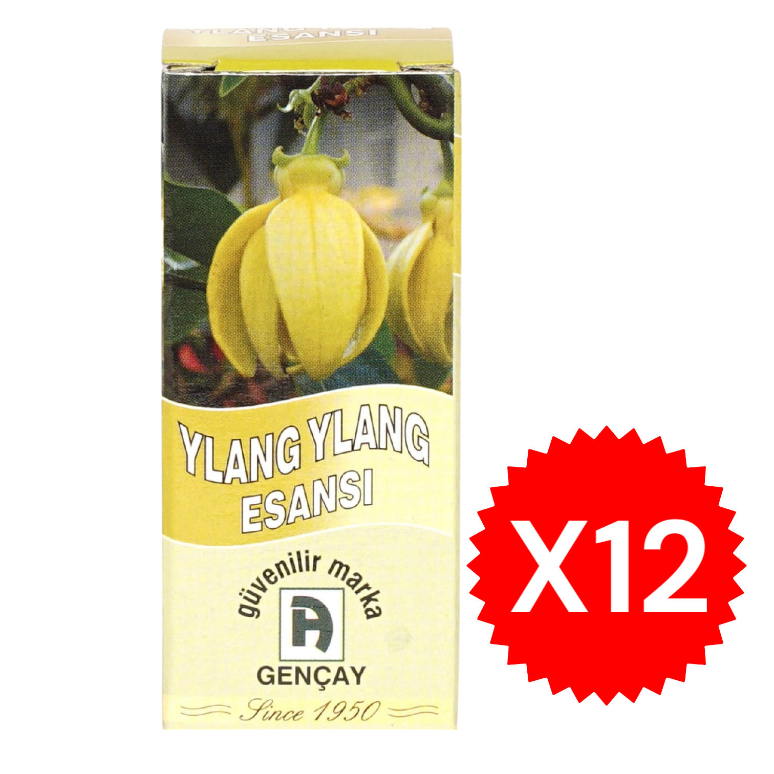 Ylang Ylang Esansı