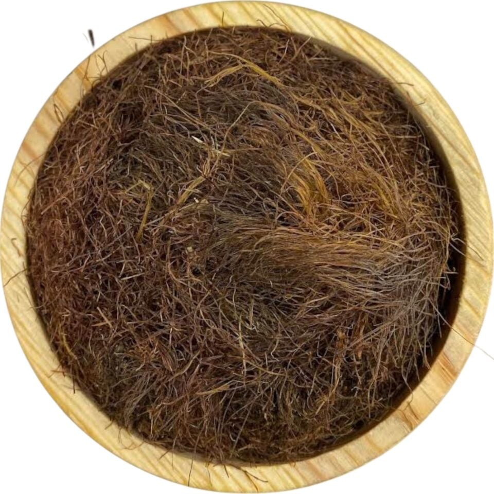 MISIR PÜSKÜLÜ  1KG