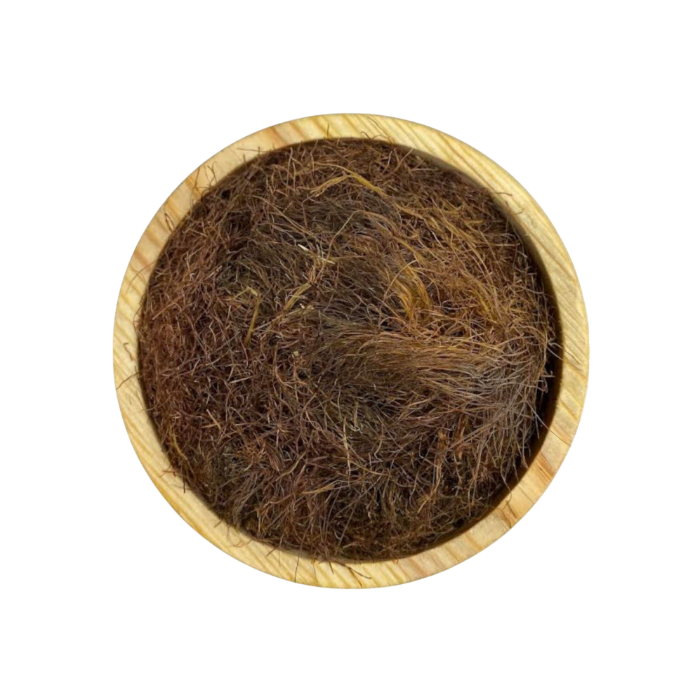 Sezgin Baharat Toptan Mısır Püskülü 1KG