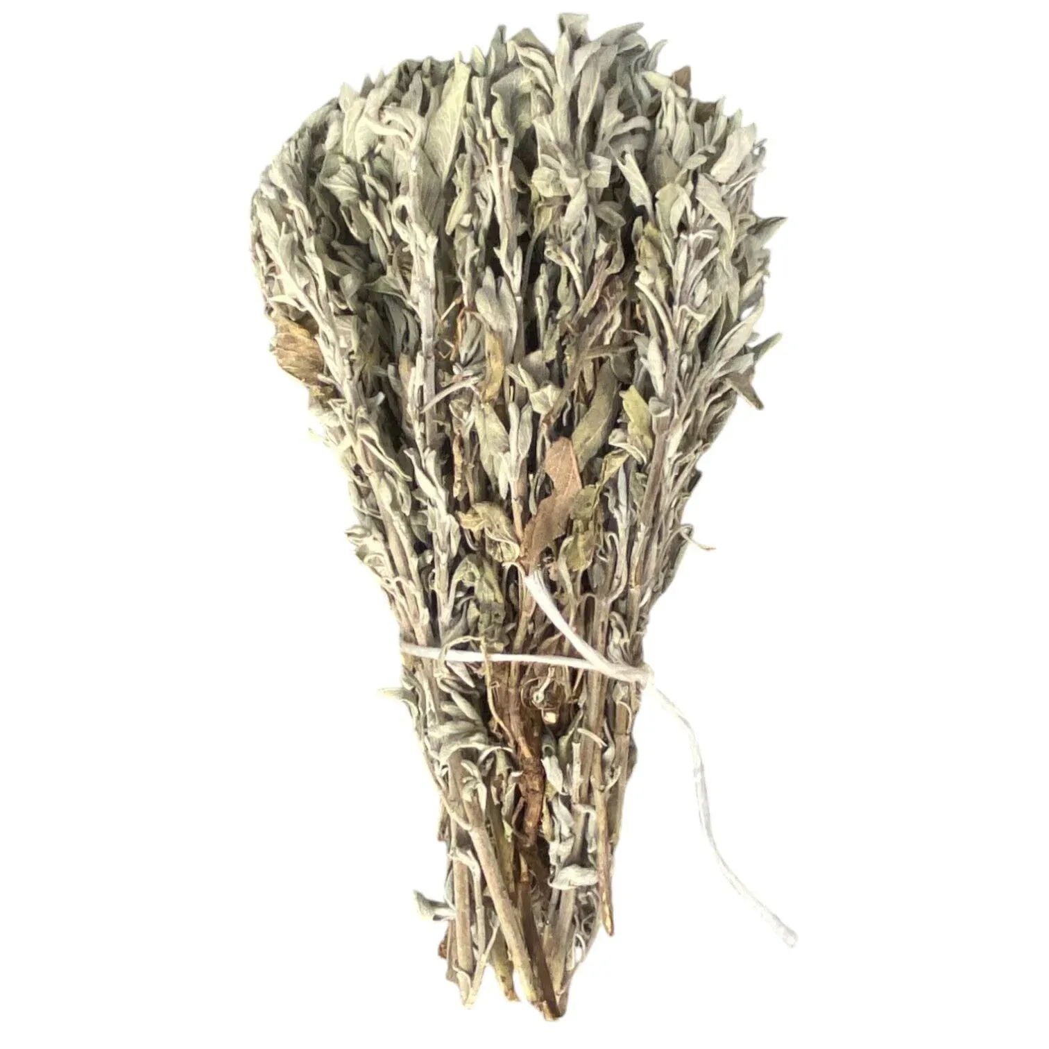 Sezgin Baharat Toptan Adaçayı 1KG-7Demet