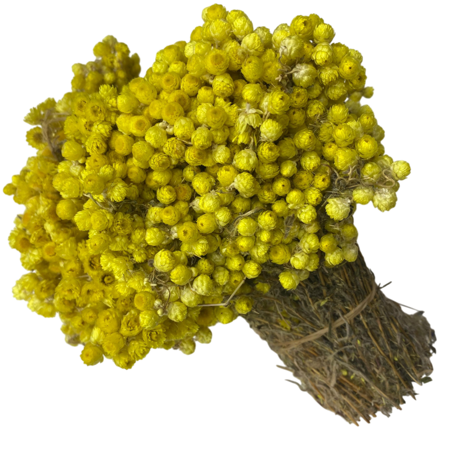 Sezgin Baharat Toptan Altın Otu 1 Demet