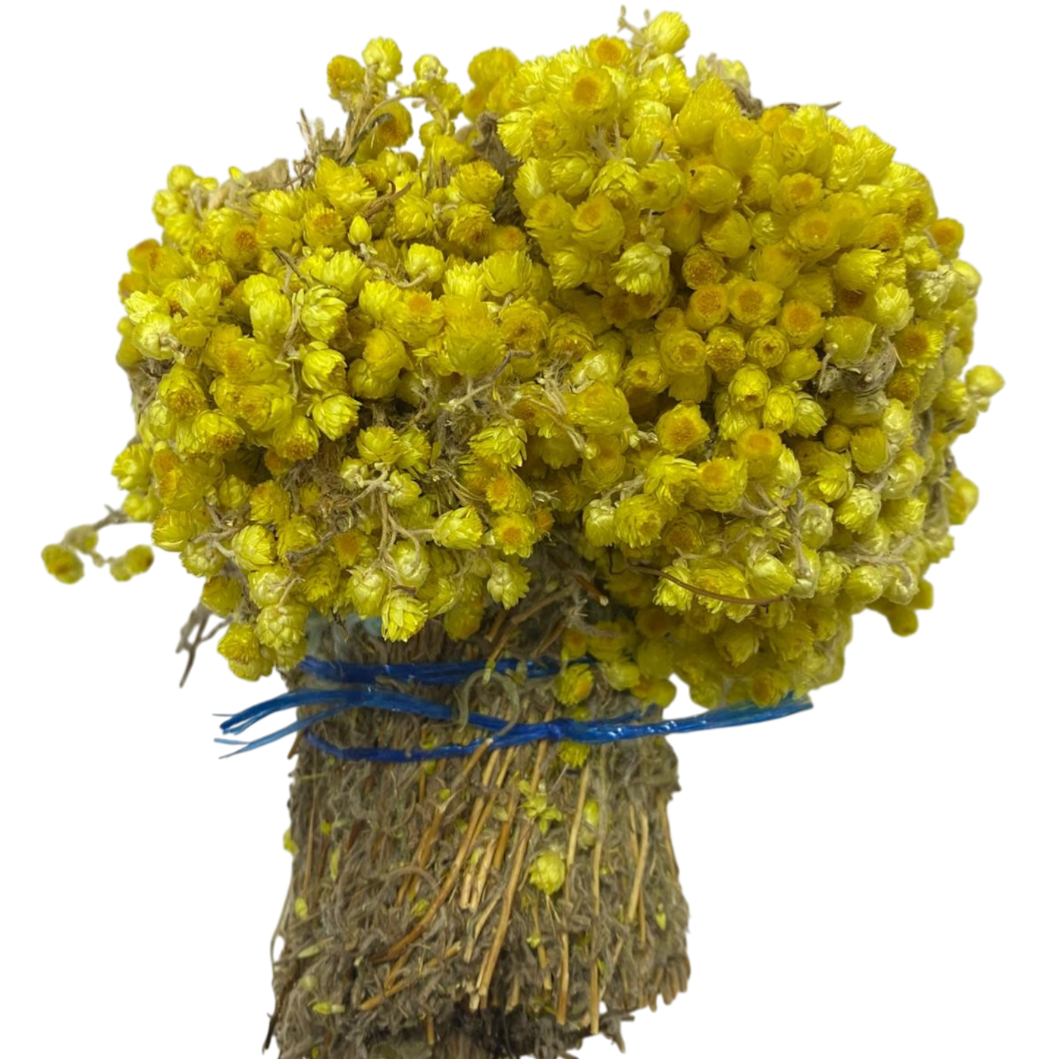 Sezgin Baharat Toptan Altın Otu 1KG