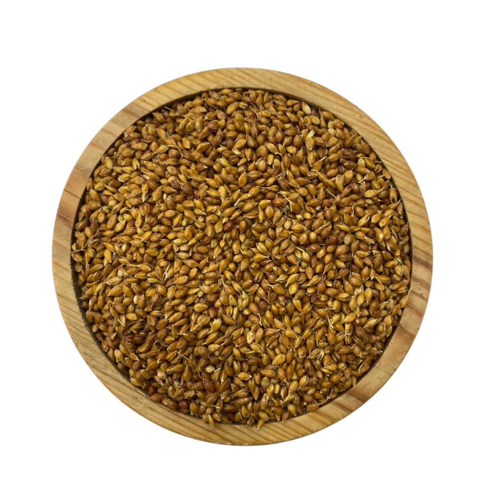 Sezgin Baharat Toptan Süpürge Tohumu 1KG