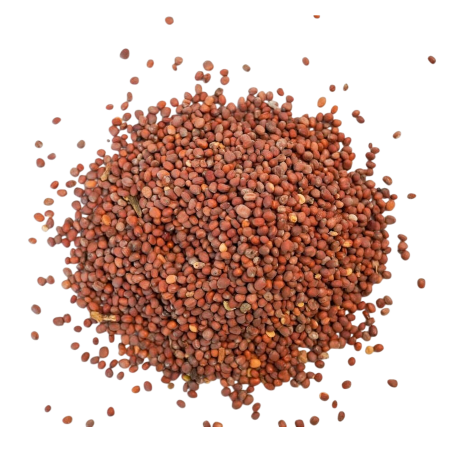 Sezgin Baharat Toptan Turp Tohumu 1KG