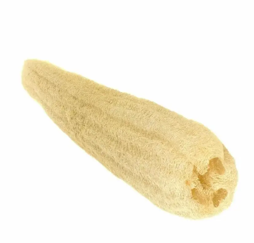 Sezgin Baharat Toptan Kabak Lifi 60-90 CM 1Adet