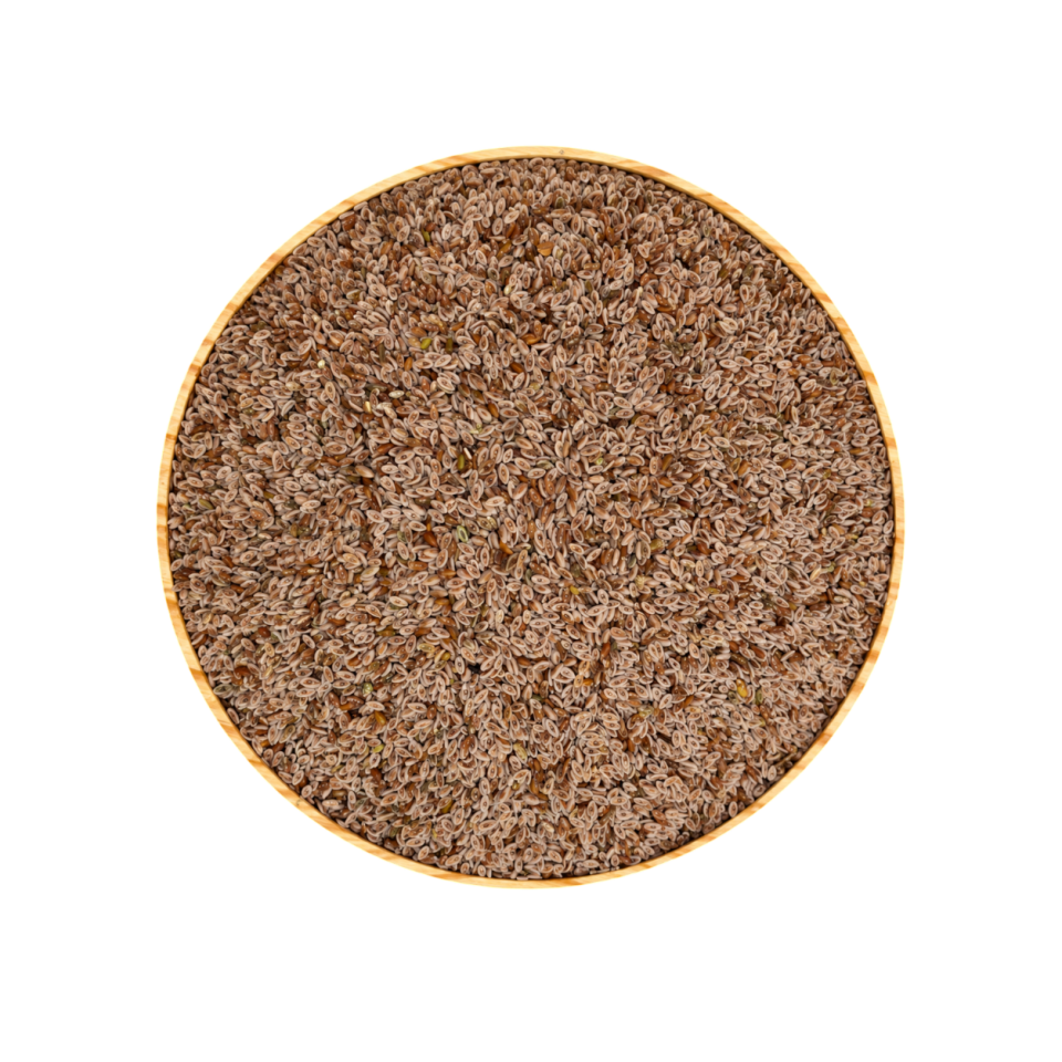 Sezgin Baharat Toptan Karnıyarık Tohumu 5KG