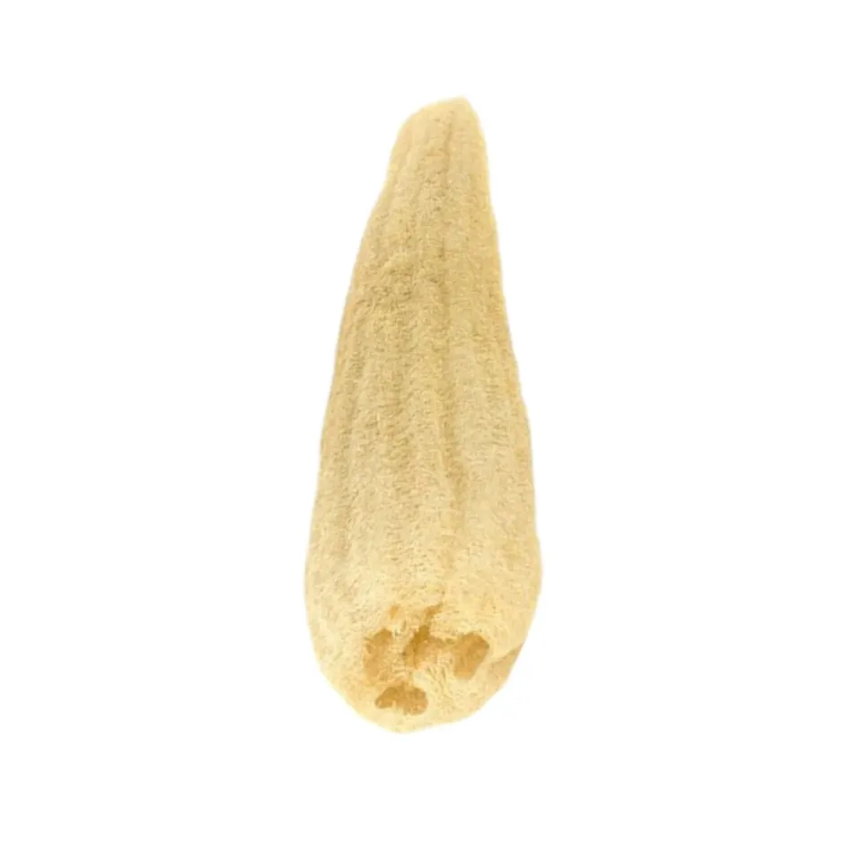 KABAK LİFİ UZUN 70-90 CM HAM