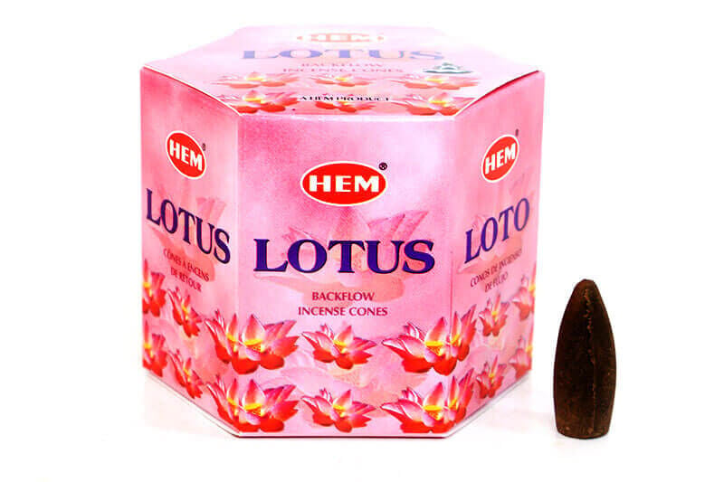 Lotus Back Flow Cones 40'lı