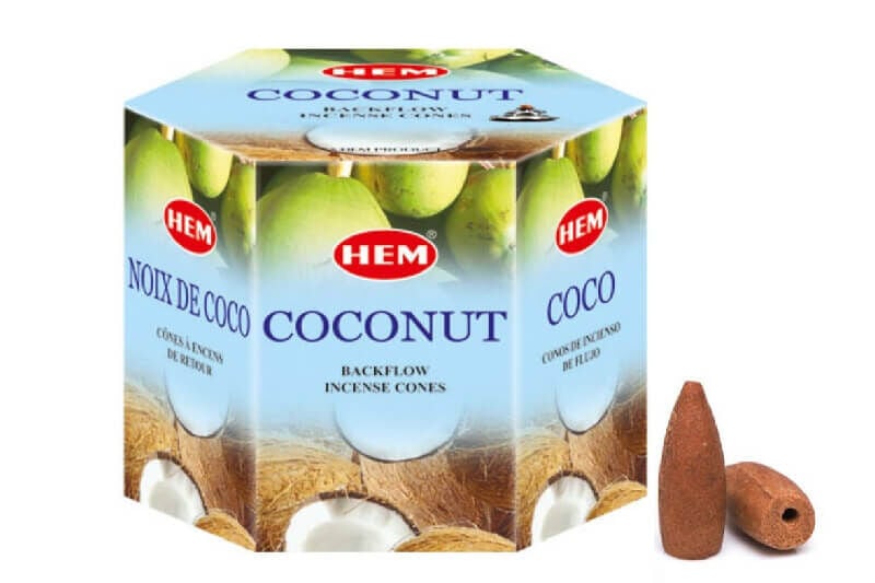 Coconut Back Flow Cones 40'lı
