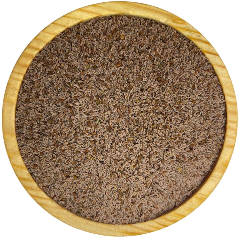 KARNIYARIK TOHUMU 1KG