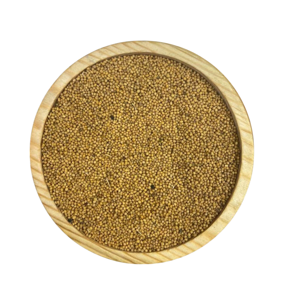 Sezgin Baharat Toptan Sarı Hardal Tohumu 1KG