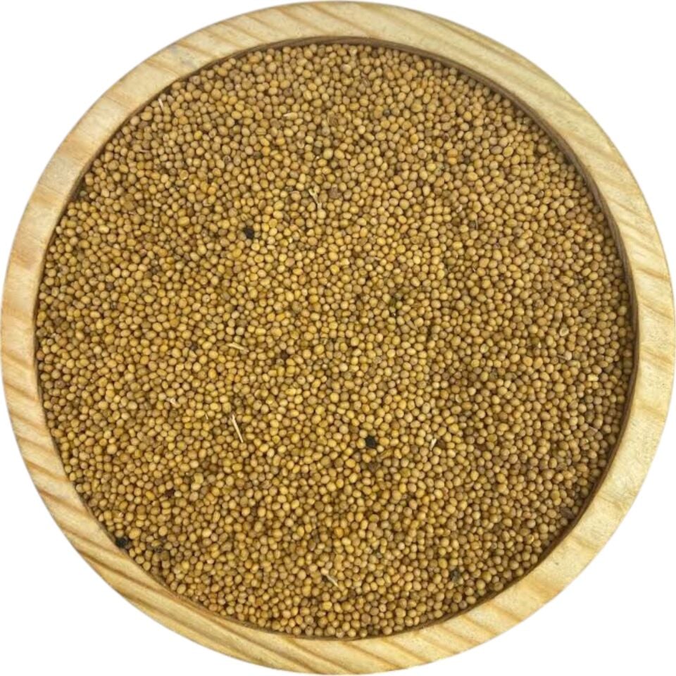 SARI HARDAL TOHUMU  1KG