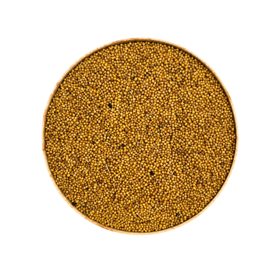 Sezgin Baharat Toptan Sarı Hardal Tohumu 1KG