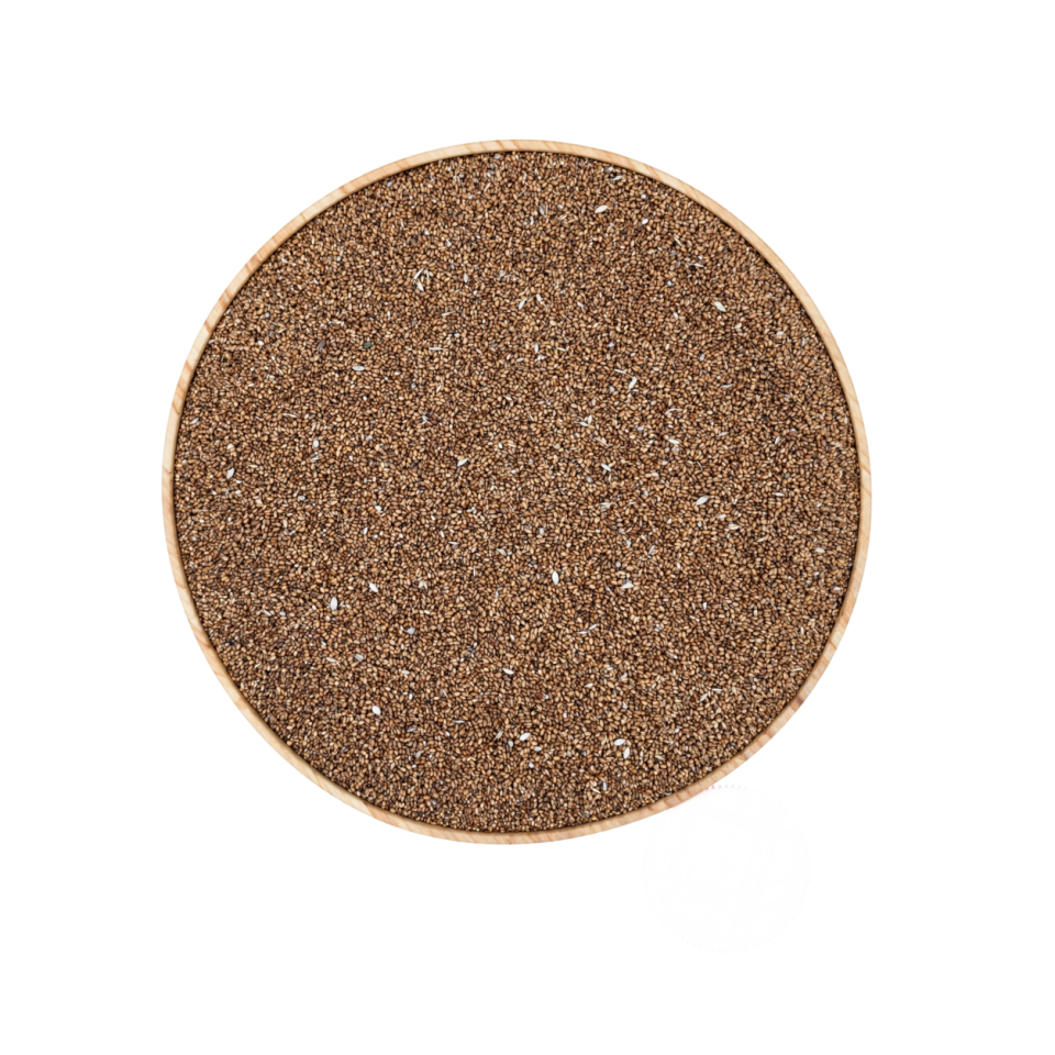 Sezgin Baharat Toptan Teff Tohumu