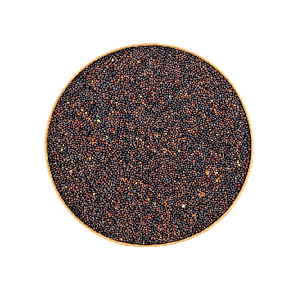 Sezgin Baharat Toptan Siyah Hardal Tohumu 1KG