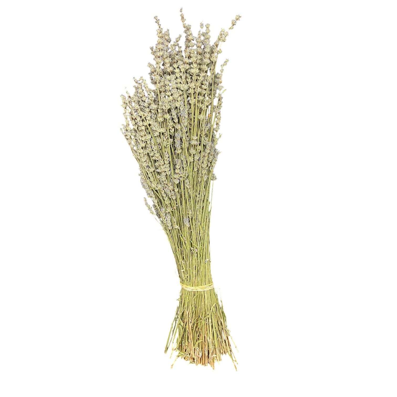 Sezgin Baharat Toptan Lavanta 1 KG-5Demet